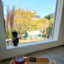 카페도노 - 화성시 노작로4길 25 | 카페도노