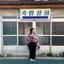 시골상회 | 울릉도 저렴한 숙소 에어비앤비 민박 죽암상회에서 2박 후기