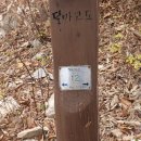 고래재