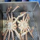 바다풍경 | 포항 바다풍경물회대게 내돈내산 솔직 후기