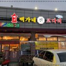 진심코다리
