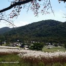 원그린목장 이미지