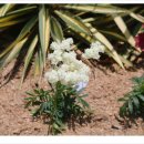 여주-0593 이미지