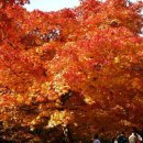 좋은인연 이미지