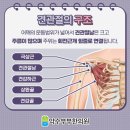 약수부부한의원