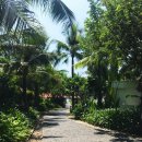 호텔더브이(HOTEL THE V) | [베트남 나트랑 리조트] 아남리조트 레갈이어 골드 호텔 아미아나 리조트 차이점