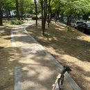 르라움 이미지