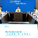 대비지 이미지