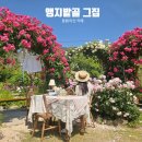 마산회원구 ⓒ-13 | 창원 마산 카페 장미 수국 정원 예쁜 회원동 앵지밭골 그집