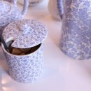 블루아라(I) 이미지