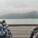 연하민박 이미지