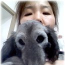 원생이들 Daum카페