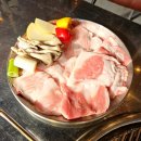 지금,돼지 이미지