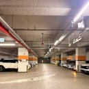 체형교정 시니어워킹 | 수원광교체형교정 허리디스크 관리, 본밸런스 방문 후기