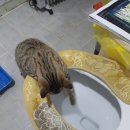 새롬꽃농원