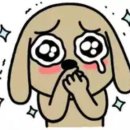 앤드모어