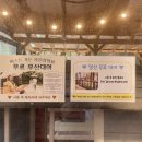 미로 2애견 이미지