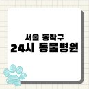 굿파파24시 반려동물 건강검진센터 | [전국 24시 동물병원 지도 #8] 서울 동작구 응급 진료 가능한 동물병원 BEST 3