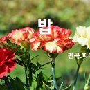 나의 가곡이야기(밥)2 이미지