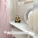 사이언스쿨(이야기 코딩) | 코딩로봇 사이언 6세 장난감 추천해요