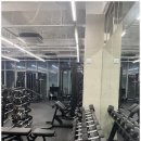 언디핏피트니스×더탠 이미지