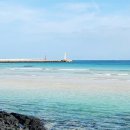 하이제인 이미지