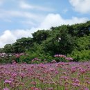 어울림숲연구소 아시아경제