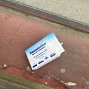 용주경로식당 | 이탈리아 포지타노 여행, 호텔 포세이돈, 로마 이동 북어웨이 미니밴(글 많음 주의..)