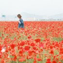 엔오엔팜 이미지