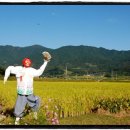 허수아비 이미지