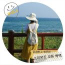 소미몬트 이미지