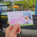 다남공원 | 서울대공원 리프트 가격 예매 2026년 이후 종료 동물원 유모차 꿀팁 코스까지