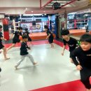 타이혼 복싱 킥복싱 이미지