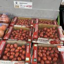 토마토기공소 | 08/01-08/07