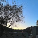 조각가박시동 미술관 이미지