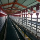 슈퍼염소농장 이미지