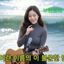 부평초에 내리는 비/AI 가수 이미지