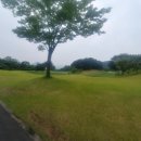비젼C.C 이미지