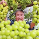 샤인 이미지