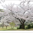 청려수련원 이미지