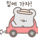 다시캠핑장 이미지