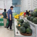 소과담