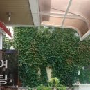 선경 사우나 이미지