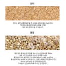 주식회사 온누리 | ▶온누리 전통시장에서 상생페이백 사용한 후기