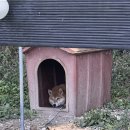 남북로R | 영종도 인스파이어 근처 내돈내산 찐맛집 한정식 나루 /바베큐 진스스모크하우스/마시안해변 마시안...