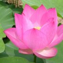 명상기공 이미지