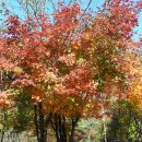 흙집펜션 이미지