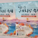 낙동강 구포나루 축제 23.10.13~15 야간 산책 후기