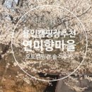 연미향마을캠핑장 이미지