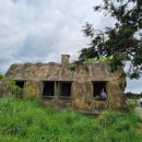 윤기목장 이미지